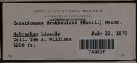 Image Associated With the Occurence